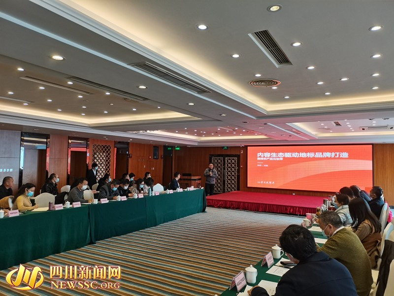 丝路易购受邀参加四川省知识产权品牌经济发展研讨会